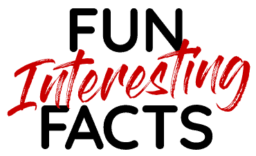 Fun Interesting Facts