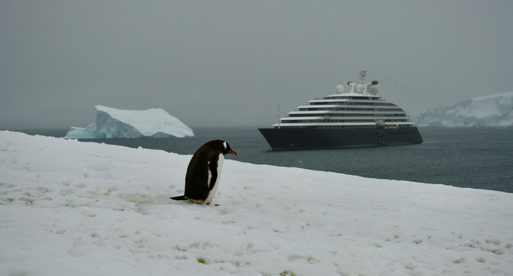 Passengers observing Antarctica from a cruise ship.