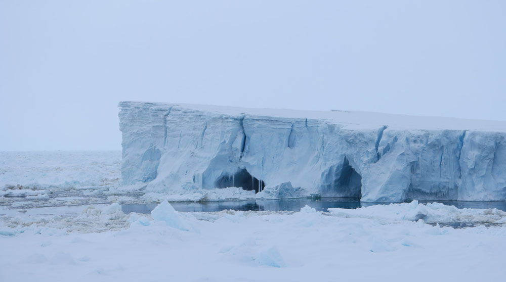 Temperatures vary widely during winter and summer seasons in Antarctica.