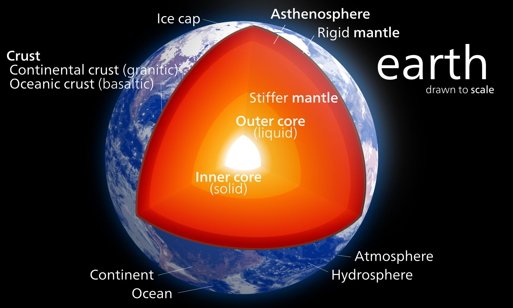 The inner and outer cores of the Earth are 80% iron.